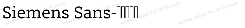 Siemens Sans字体转换
